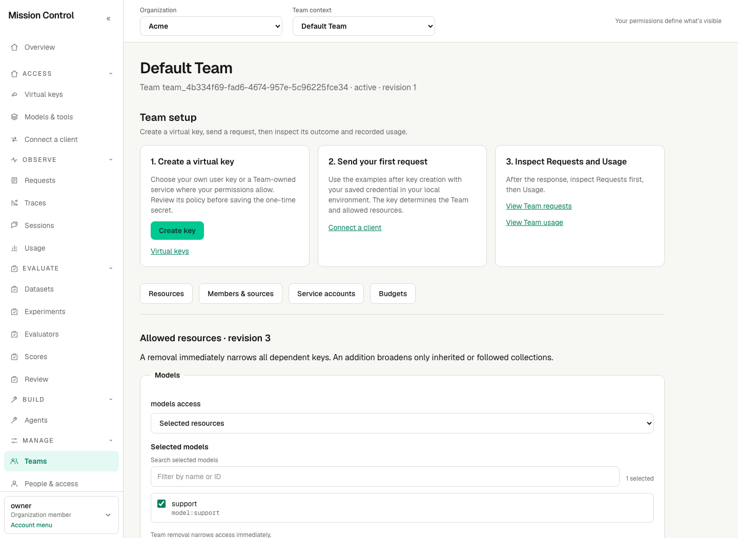 Default Team's Allowed resources section with models access set to Selected resources and the searchable Selected models checklist showing the support model ticked by name